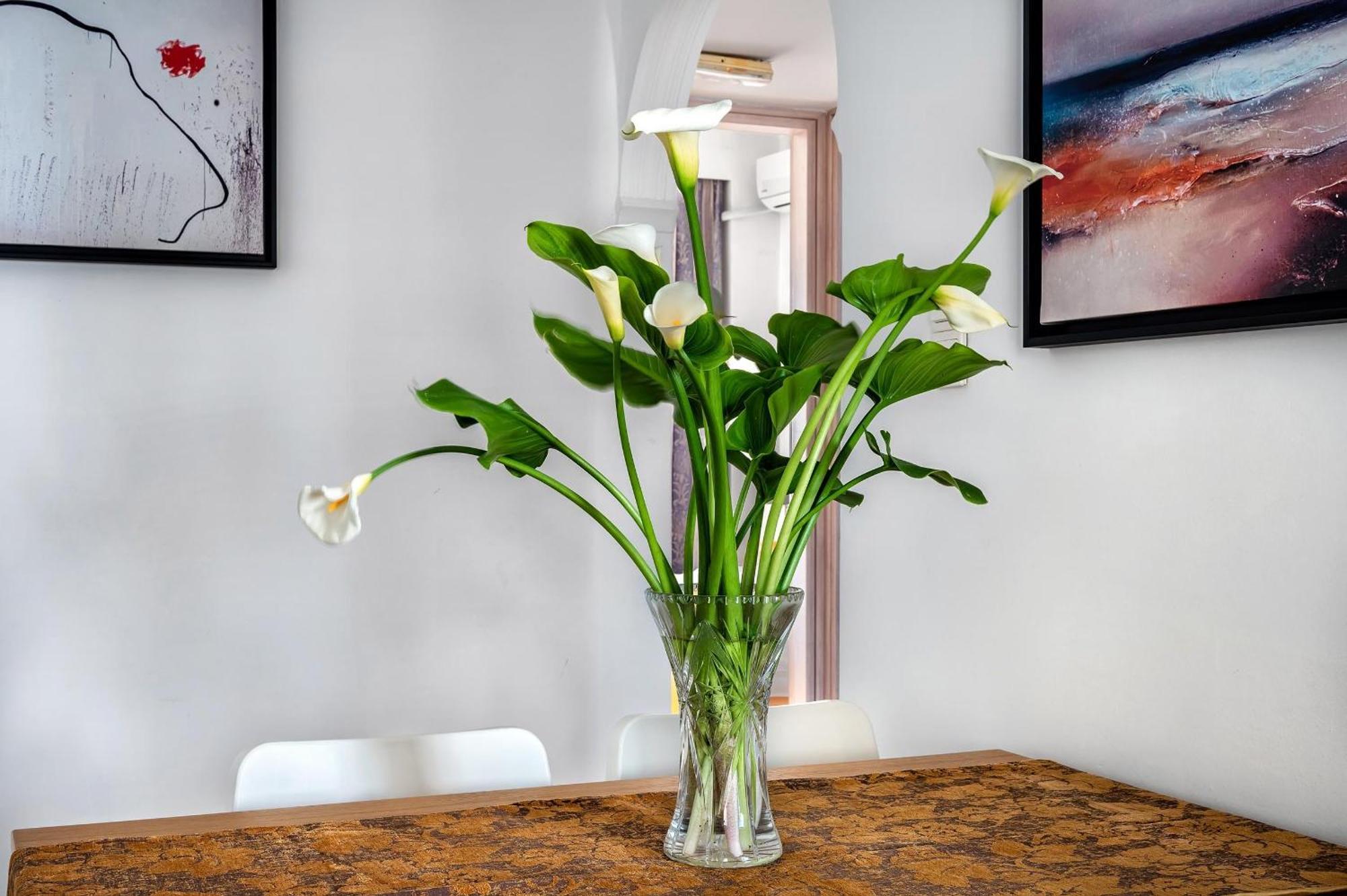 Saint Sophia's Stay, By Idealstay Experience Appartement